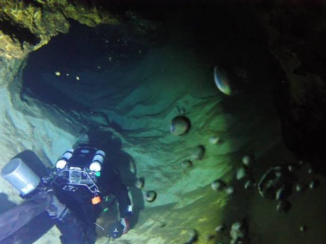 ��ϐ����ߓ����E�{��_�C�r���O�T�[�r�X�X�e�[�V�����@�J�i���A