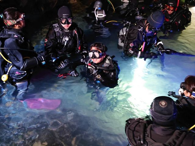 ��ϐ����ߓ����E�{��_�C�r���O�T�[�r�X�X�e�[�V�����@�J�i���A