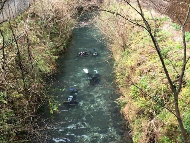 ��ϐ����ߓ����E�{��_�C�r���O�T�[�r�X�X�e�[�V�����@�J�i���A