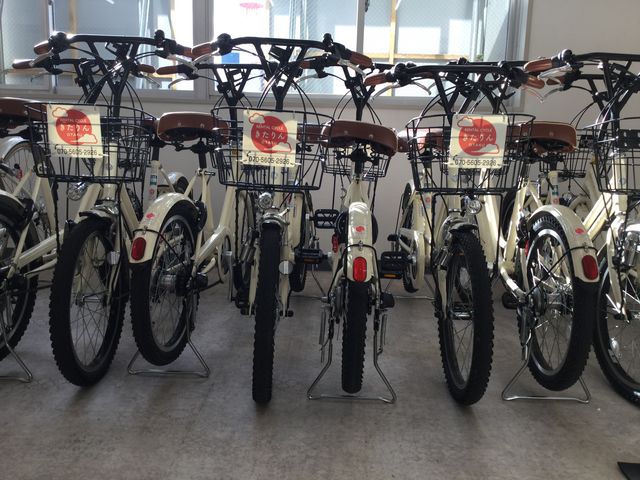 �S�ԃu���W�X�g����3�i�ϑ��t���{���S���Q�ی��t��  �������͐Ԃ����S�}�[�N_���M�����^�����]�Ԃ������