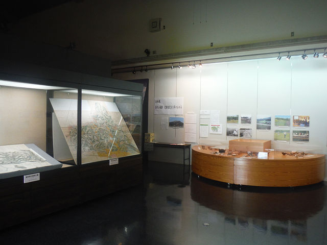 �t���R��j�ՁE��z�s�����������Z���^�[