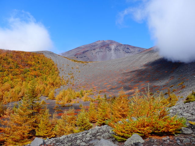 �x�m���R�u��i�Ό��v_�x�m�R�l�C�`���[�c�A�[�Y