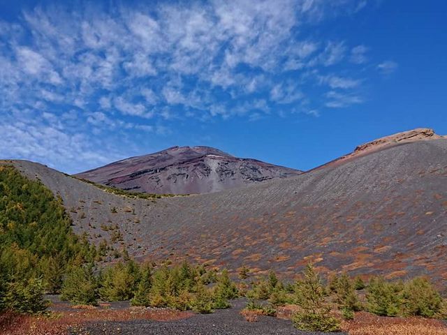 �x�m���R�u��i�Ό��v_�x�m�R�l�C�`���[�c�A�[�Y