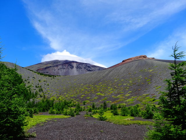 �x�m���R�u��i�Ό��v_�x�m�R�l�C�`���[�c�A�[�Y