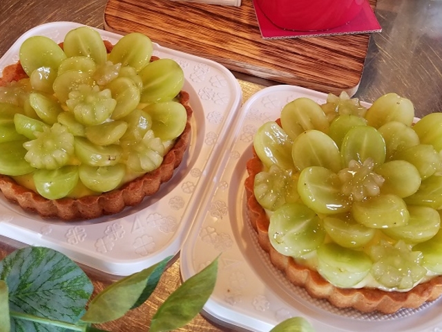 �^���g�̌�
�V���C���}�X�J�b�g_����_�ƌ����x���t�@�[��