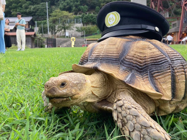 ̉w܂ׁ@炿_1Ԍ500~όoXu܂v