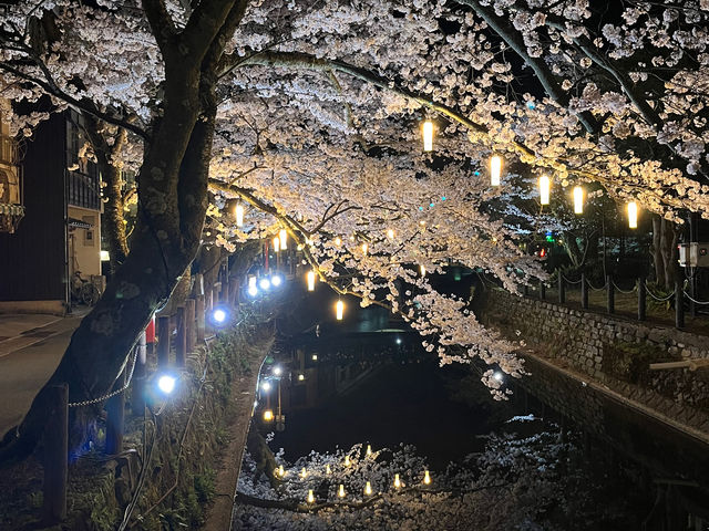 艷@_1Ԍ500~όoXu܂v