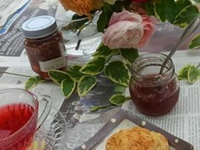 �n�[�u�u���ł́A�n�[�u�W������n�[�u���g�����l�X�ȕ��������̌����������܂�_���B�[�i�[�X�@���f�B�J���n�[�u���{�@��\�㗢�Z