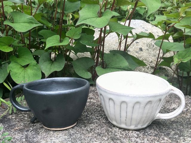 Potter �ؕc�@���H�[&GALLERY