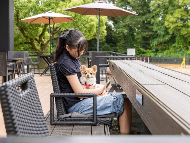 �e���X�Ȃɂ͑���������A�h�b�O�����𒭂߂邱�Ƃ��ł���_�����̉w