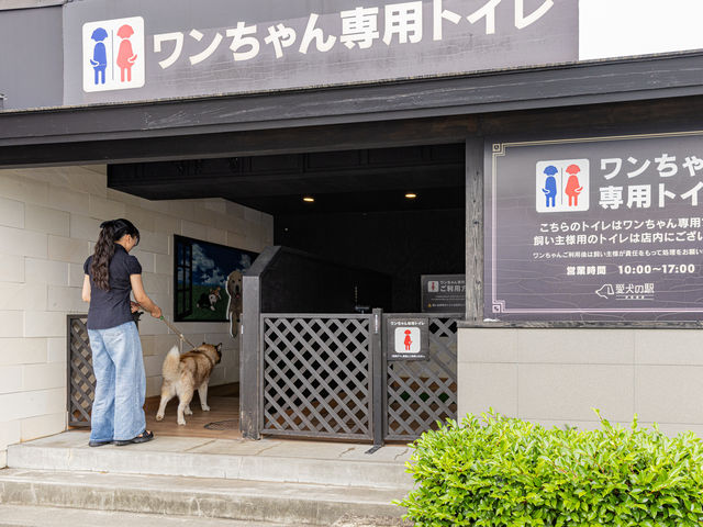 ���{���I�H��񂱗p�g�C������_�����̉w