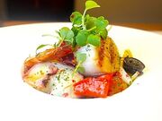 Dinng & Sake Bar SHIBATORA Vog VX̎ʐ^1