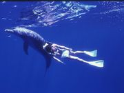 u[[X@I[VtB[hKCh̎ʐ^3