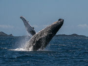 u[[X@I[VtB[hKCh̎ʐ^4