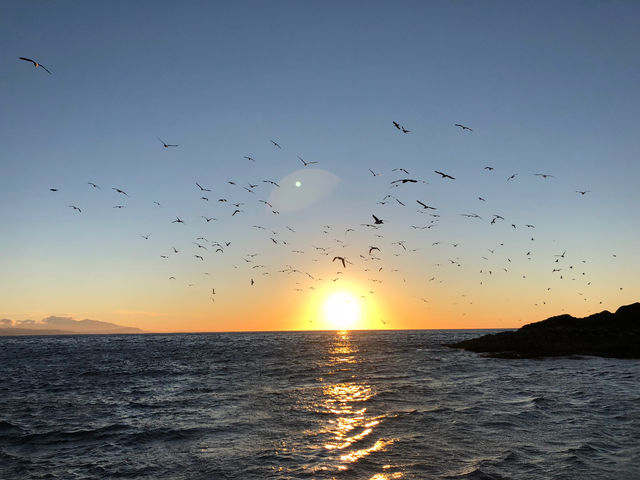 �[���ցI���J�̃T���Z�b�g�ɂȂ邱�Ƃ�����܂��I_�̓��A���M�N���[�W���O�v�����}����