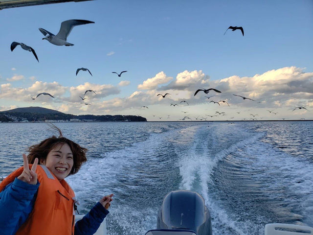 �E�~�l�R�a��蕗�i�I_�̓��A���M�N���[�W���O�v�����}����