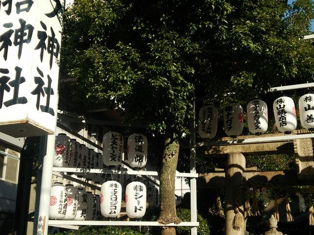 �T���n���_��