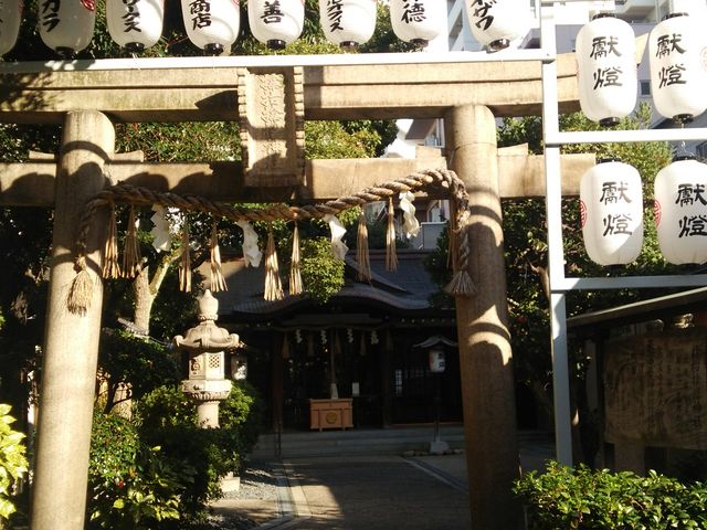 �T���n���_��