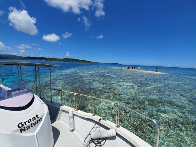 ���h����₩���@�厩�R�N���u