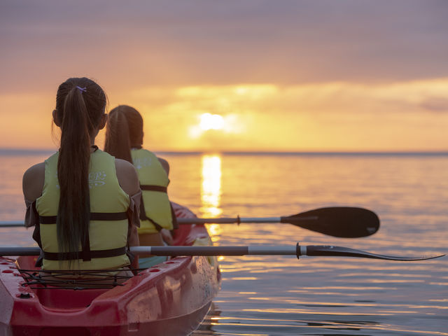 �T�}�[���]�[�g�{�Ó�