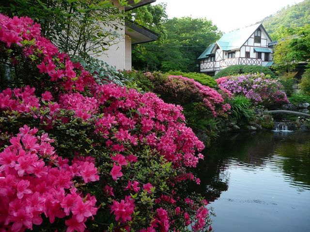 5������̒뉀�̗l�q�B���A�����Ȃǂ��ٓ��뉀�ŊF�l�����o�}�����Ă���܂��I�t�͉ԁX�����ꂢ�Ȏ����A�ǂ����U��ɂ��炵�Ă��������B_�z�e����T��