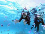 SҐXNEOMARINEΊ_̎ʐ^2