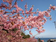 ���ς̉͒Í��̎ʐ^2