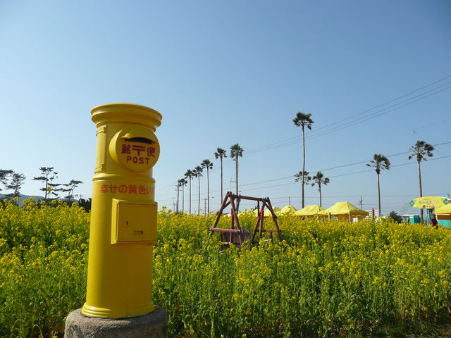 �ɗǌ΍؂̉ԃK�[�f��