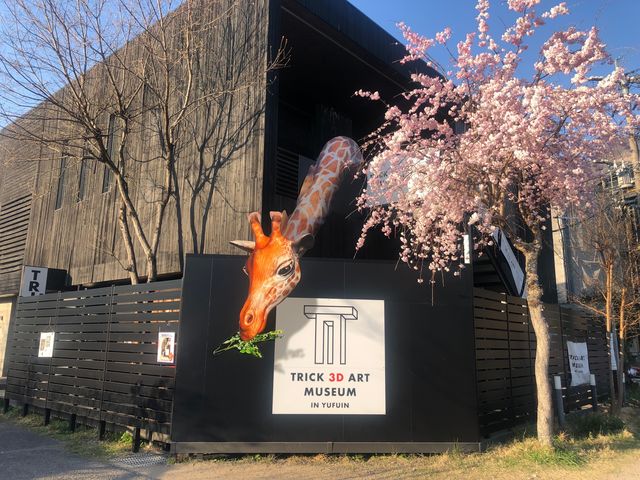 トリック３dアート湯布院 安い 割引