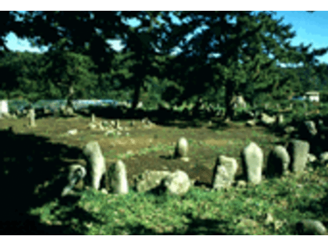 �E�H�X�g�[���T�[�N���������߂��Ɂ�
�p���[�X�|�b�g�ł���_�̓��A�N���[�Y�@������냊�]�[�g