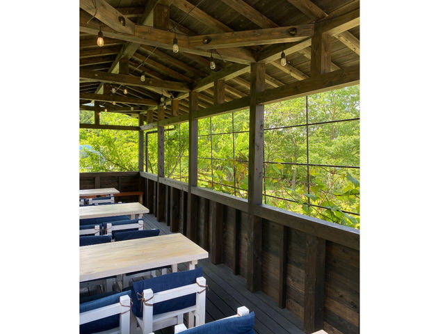 2ndCABIN_�u���[�x���[�̋uhopi