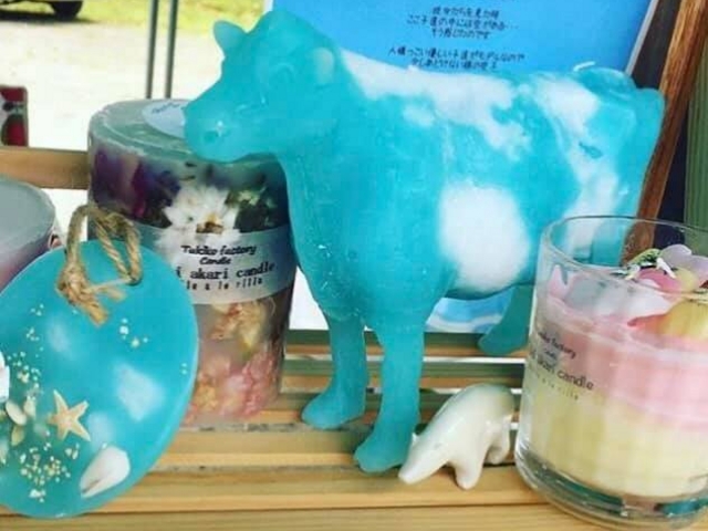 ����L�����h���f��w����̃��X�g�����x�̃��f���ɂȂ����q��̋������f���ł�_Tukiko factory