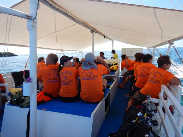 �_�C�r���O�@�X�N�[���@Tiara