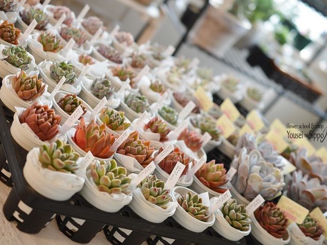 �t�����[�f�U�C�������@�悤�����̂�����