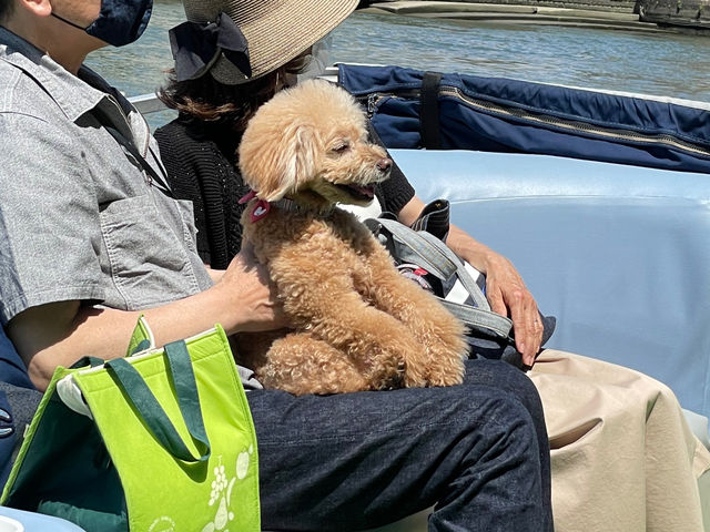 �C���f�B�N���[�Y�@�����D����