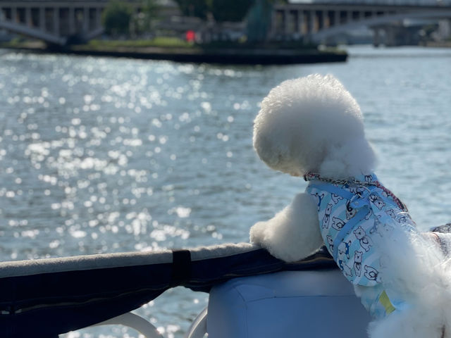 �C���f�B�N���[�Y�@���j�o�[�T���V�e�B�|�[�g