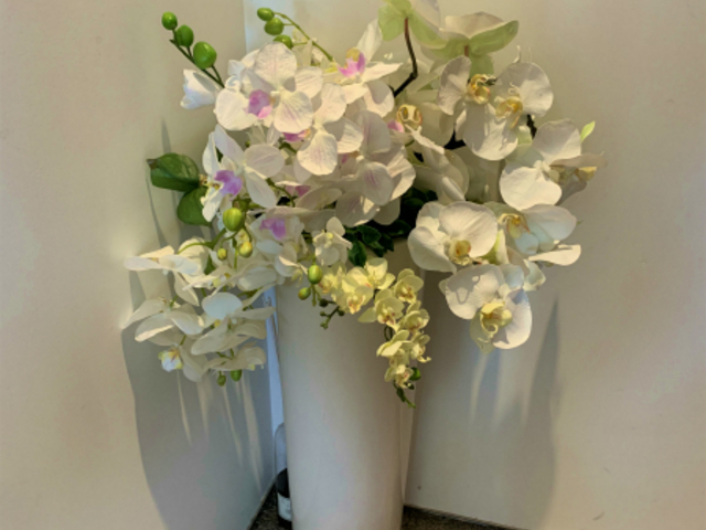 �J�X�Ȃǂ̂��j���ɂ��i���Ɍ͂�Ȃ��A�[�e�B�t�B�V�����t�����[�͐l�C�ł��B_�v�e�B�E�t���[��