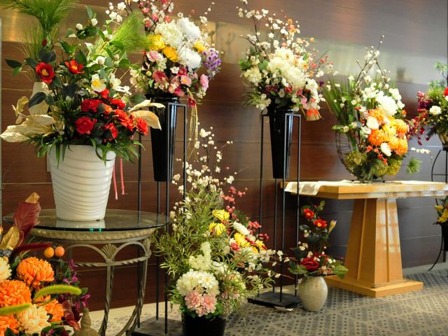 �n���_�ł̃v�e�B�E�t���[���W����J�ÂQ�O�P�X�N�͂P�O���W���`�P�S���ł�_�v�e�B�E�t���[��