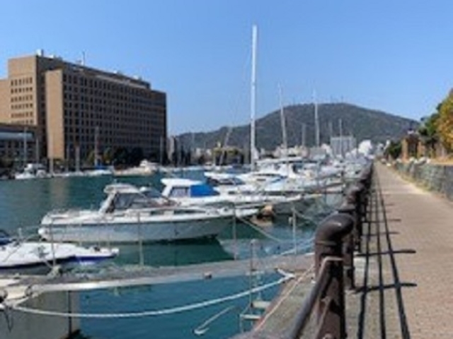 �X�̐����ɂ��铿�������k���ɂ̓��b�g�Ȃǂ��┑���Ă��ăP���`���s�A�ƌĂ΂�Ă��܂��B�ʐ^���͔��R�ł��B_�v�e�B�E�t���[��