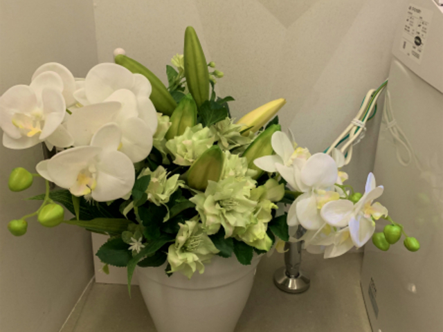 �P�N�_��̃����^����i������܂��B_�v�e�B�E�t���[��