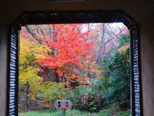 �H�̍g�t_�X�^�[�_�X�g���B���b�W����