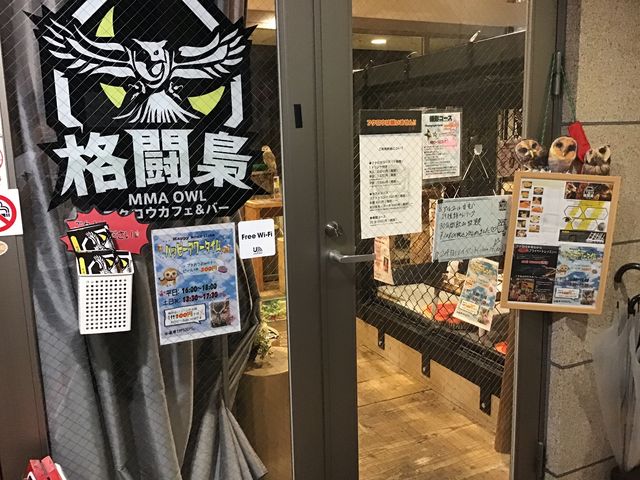 フクロウカフェ&バー 格闘梟