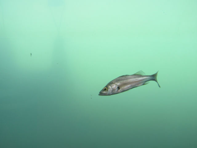 �D����̎���͋��킪�L�x_�k��B�A�[�o���T�b�v����