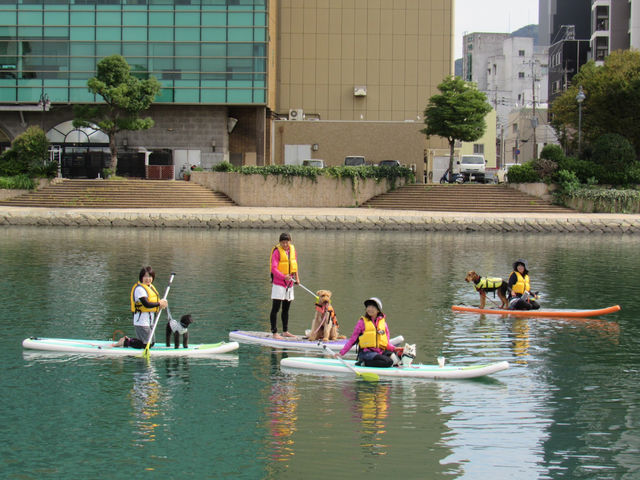 �k��B�A�[�o���T�b�v����