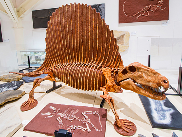 �������~���[�W�A��