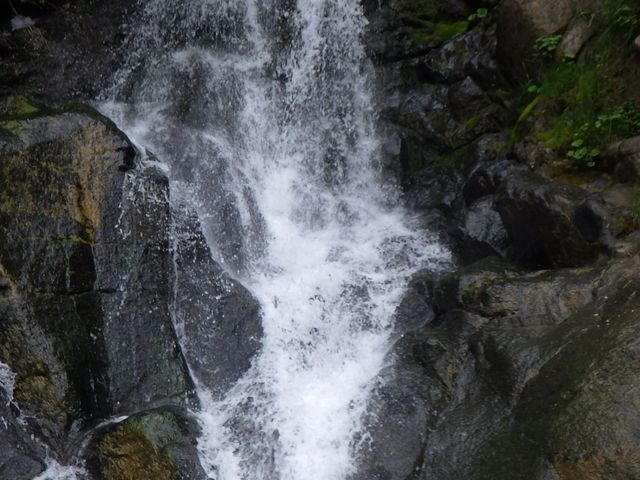 ���R�΂̉��ɂ͒m��ꂴ��ꂪ�BSUP�ł��������܂���_RUSTICA�y�R�`�z�����x�[�X