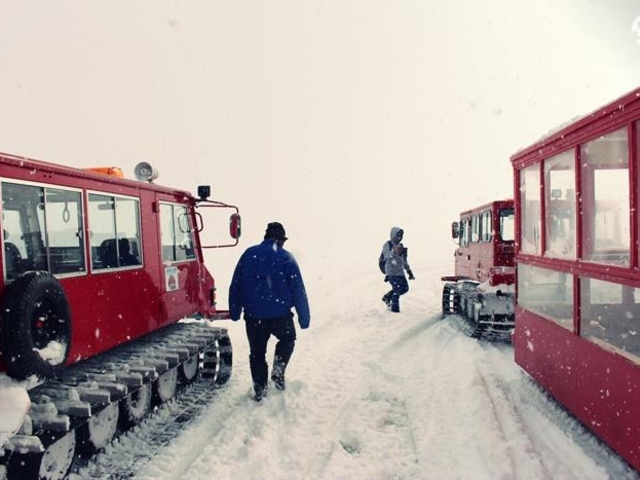 CAT(����)�c�A�[_����A�E�g�h�A�Z���^�[(�X)