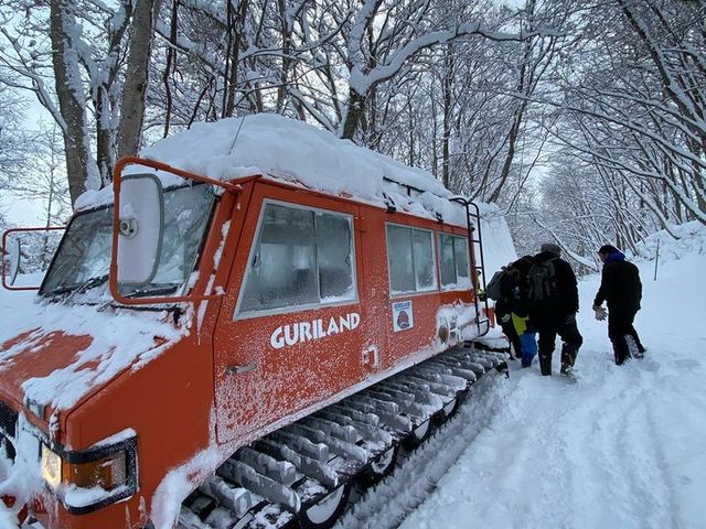 CAT�c�A�[_����A�E�g�h�A�Z���^�[(�X)