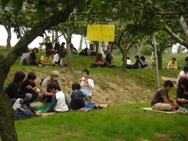 �t���[�c�p�[�N�z��