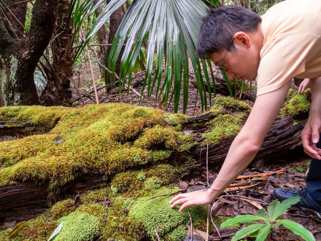 �ŗL��̐X��G��Ă݂悤_�����K�C�hPolaris